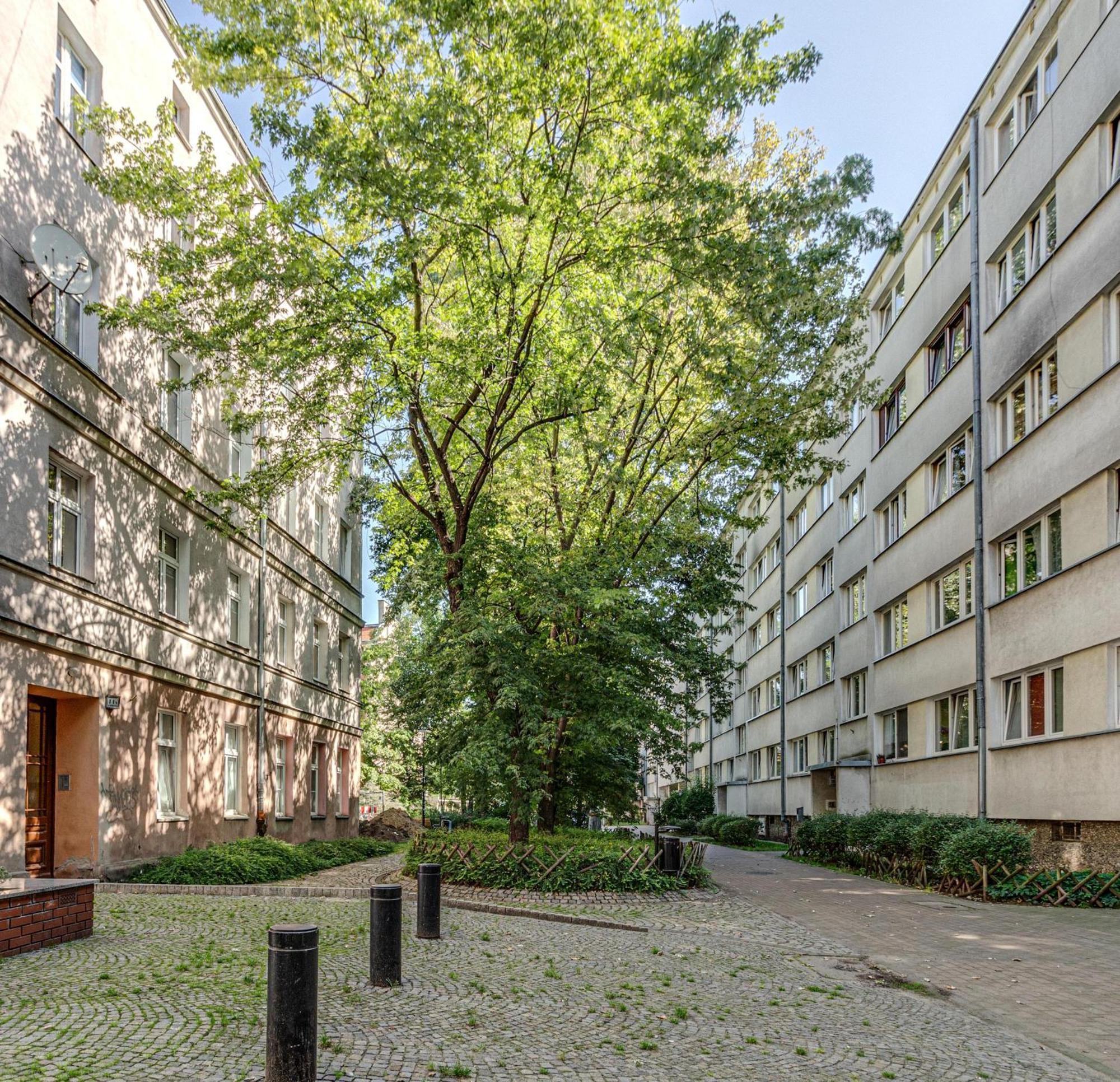 Rentplanet - Studio Nadodrze Wroclaw Luaran gambar