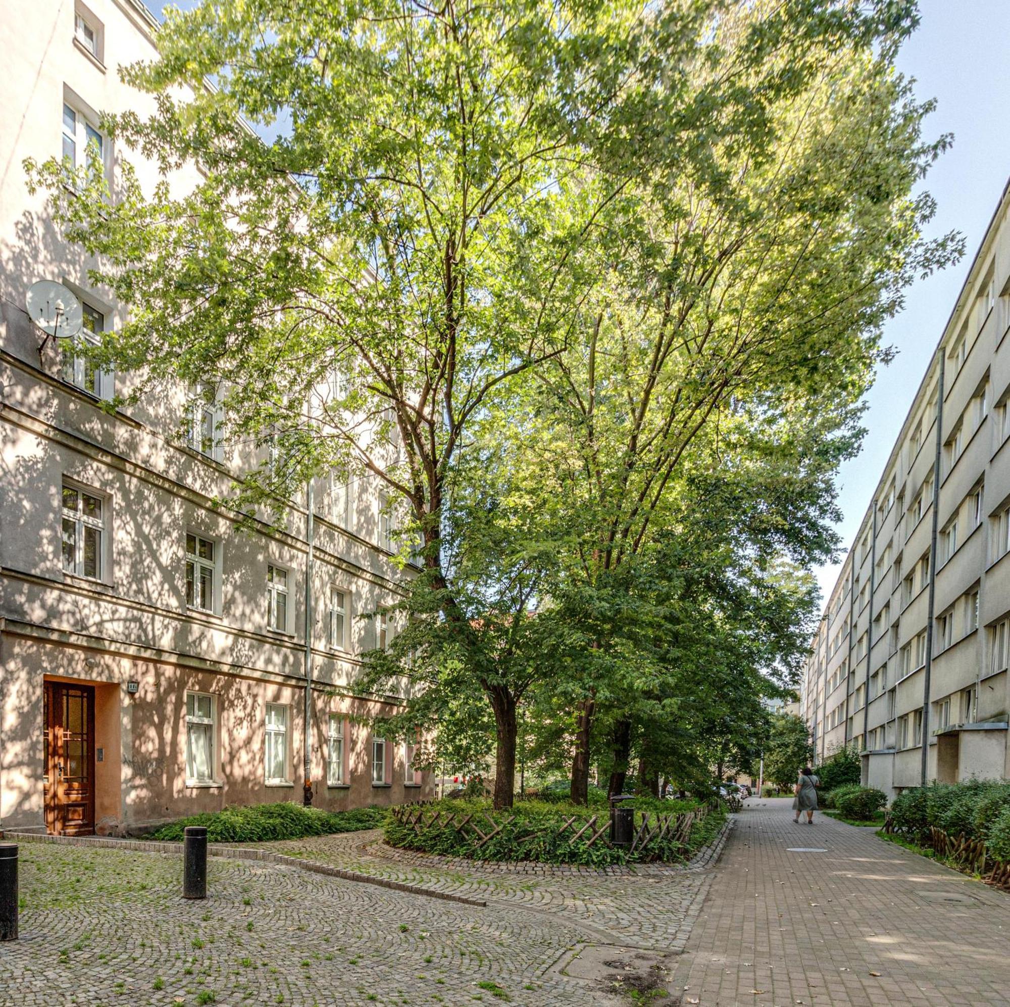 Rentplanet - Studio Nadodrze Wroclaw Luaran gambar